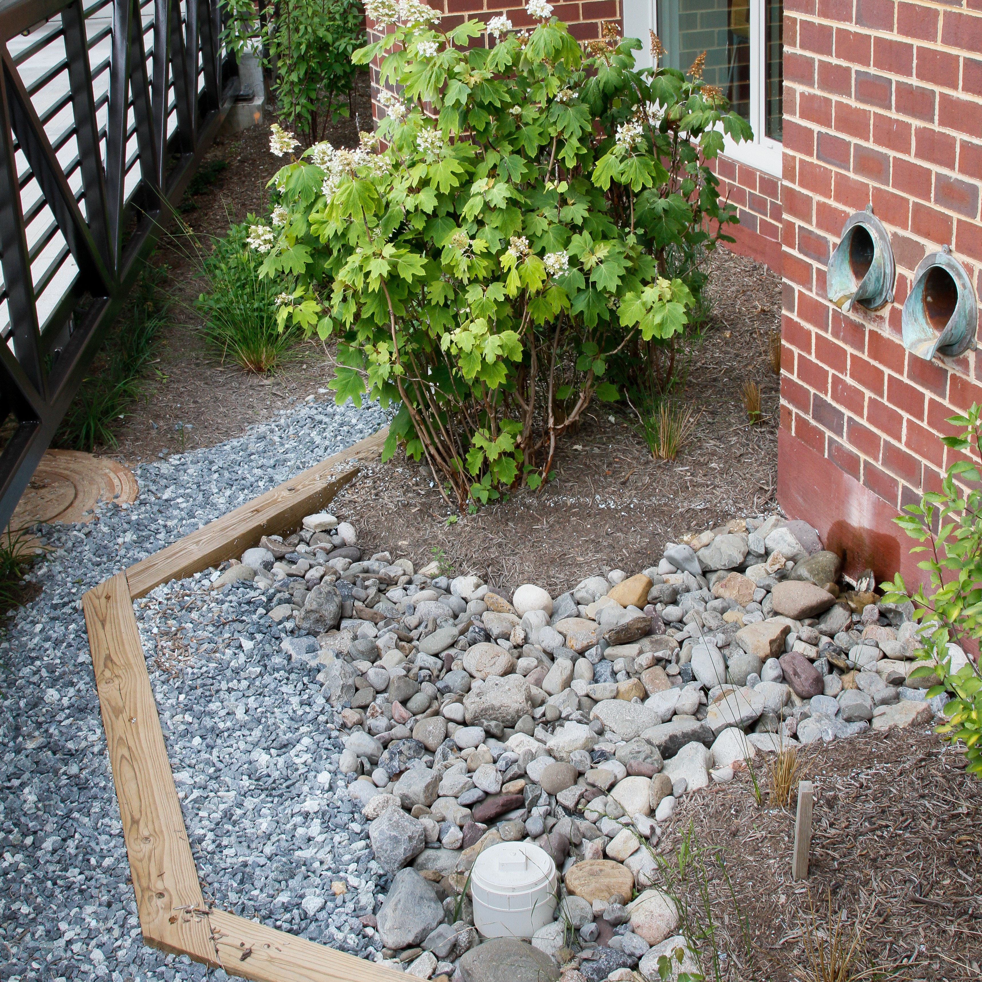 High School, Bioretention