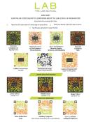 QR Code Sheet