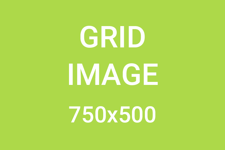 Grid Image Test