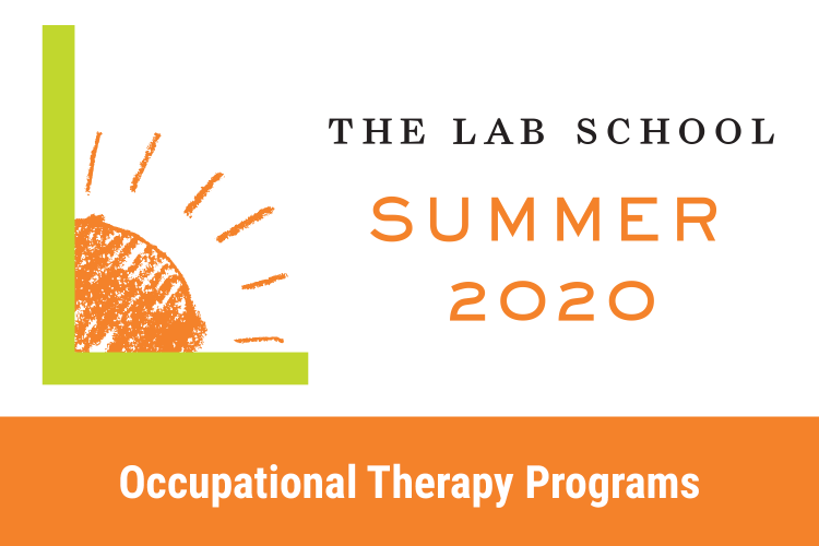 Lab Logo with shining sun and summer 2020 text