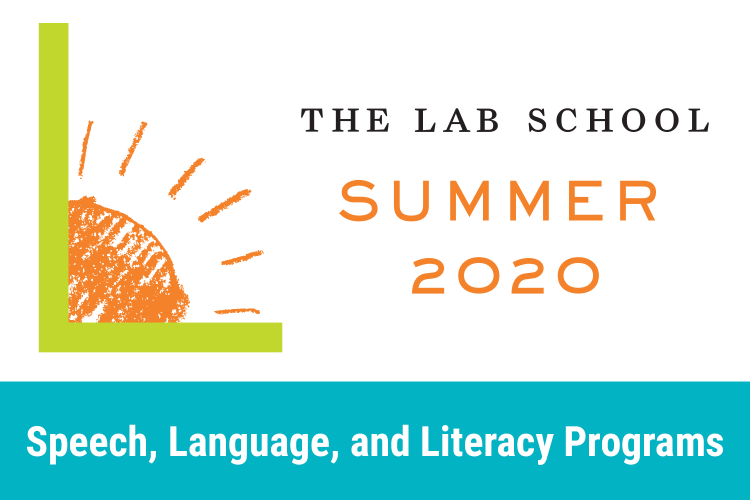 Lab Logo with shining sun and summer 2020 text
