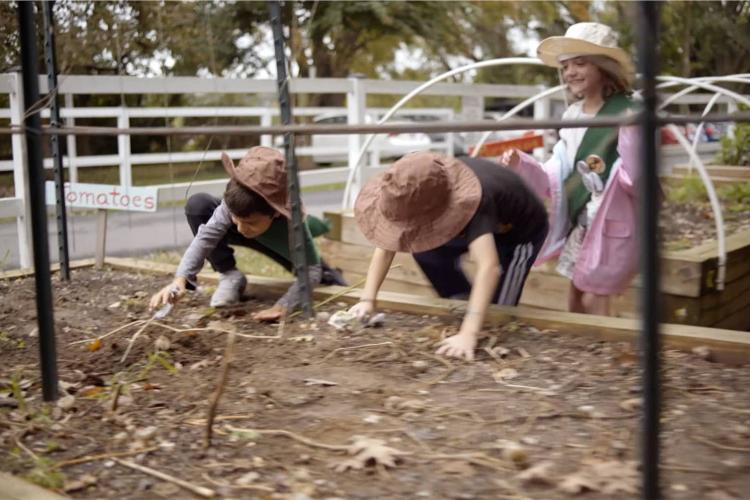 Kids running toward school garden with gardening tools
