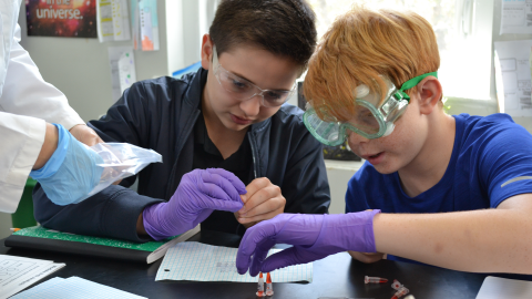 Two students testing blood samples