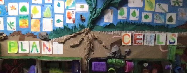 bulletin board student art of tree and plant cells