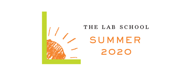 Lab Logo with shining sun and summer 2020 text
