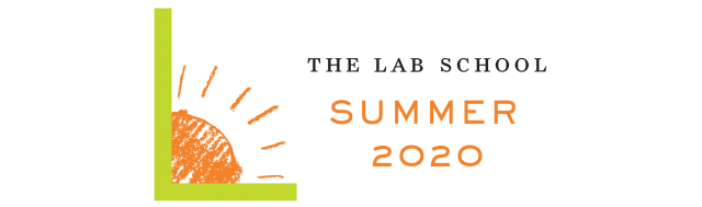 Lab logo with shining sun