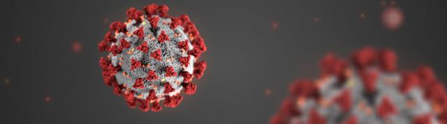 Coronavirus Hero image