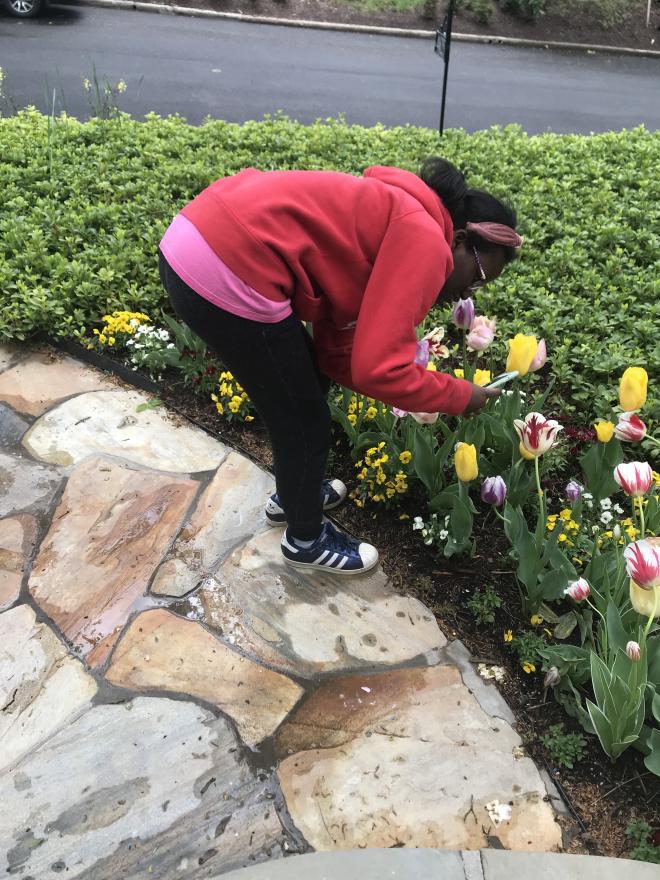 Student outside leans over to smell blooming flower